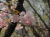 img0019.jpg