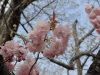 img0021.jpg