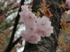 img0023.jpg