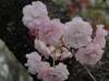 img0024.jpg