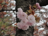 img0026.jpg