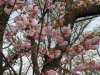 img0027.jpg