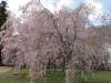 img0029.jpg