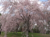 img0031.jpg