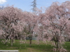 img0032.jpg