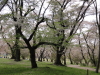 img0033.jpg