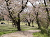 img0034.jpg