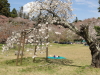 img0035.jpg