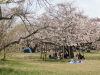 img0042.jpg