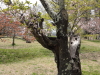 img0043.jpg