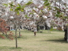 img0044.jpg