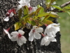 img0045.jpg