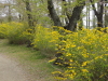 img0056.jpg