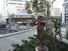 img0042.jpg