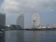img0010.jpg