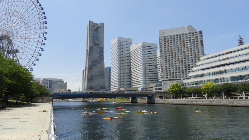 img0041.jpg