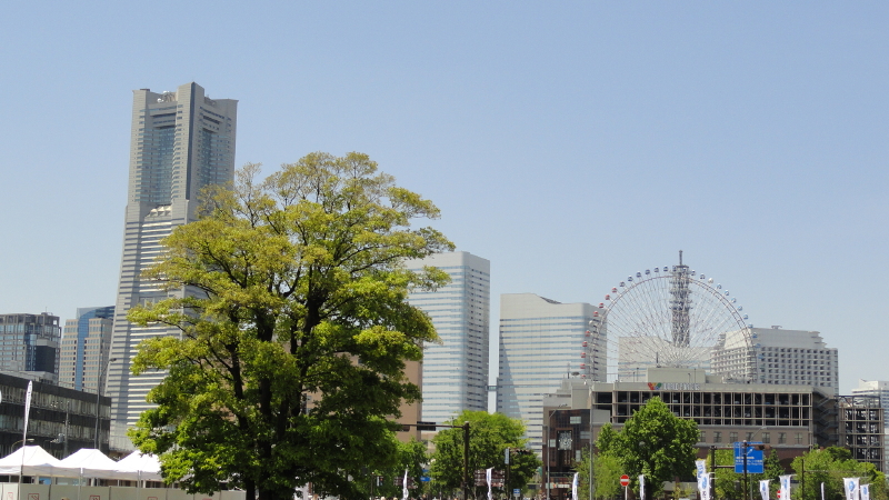 img0056.jpg