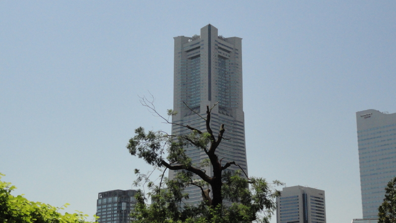 img0065.jpg