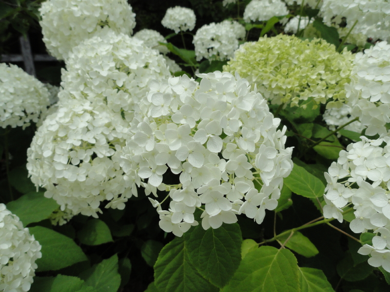 img0065.jpg