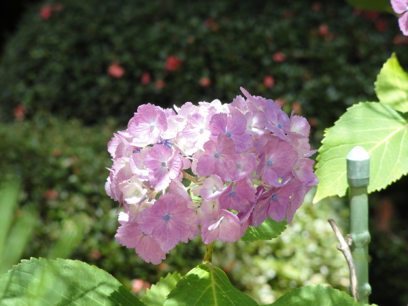 img0074.jpg