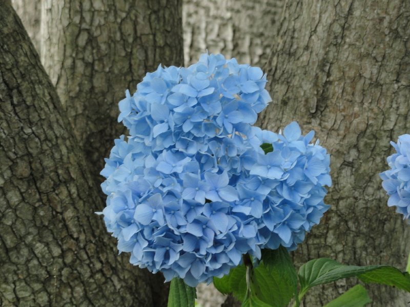 img0090.jpg