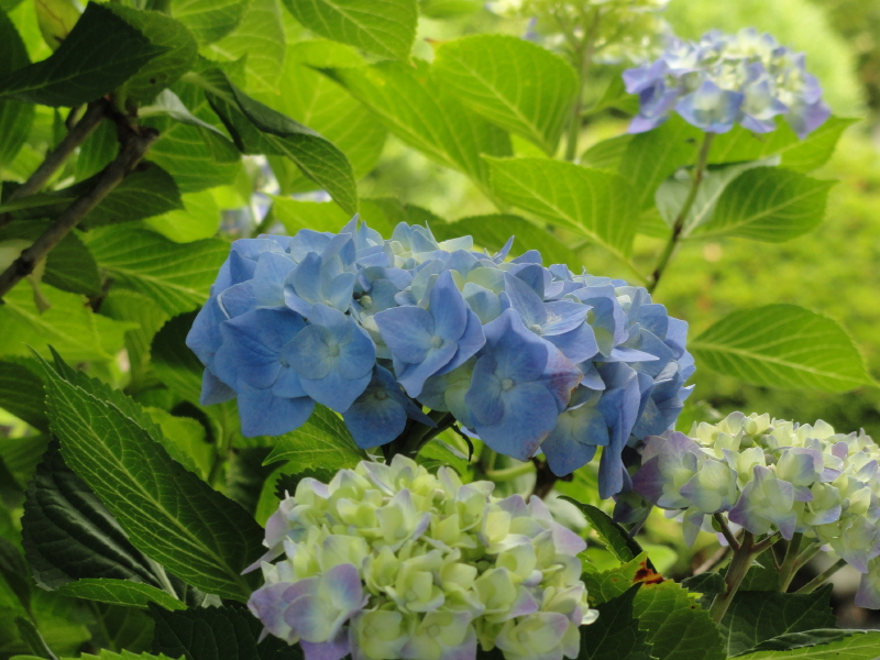 img0092.jpg
