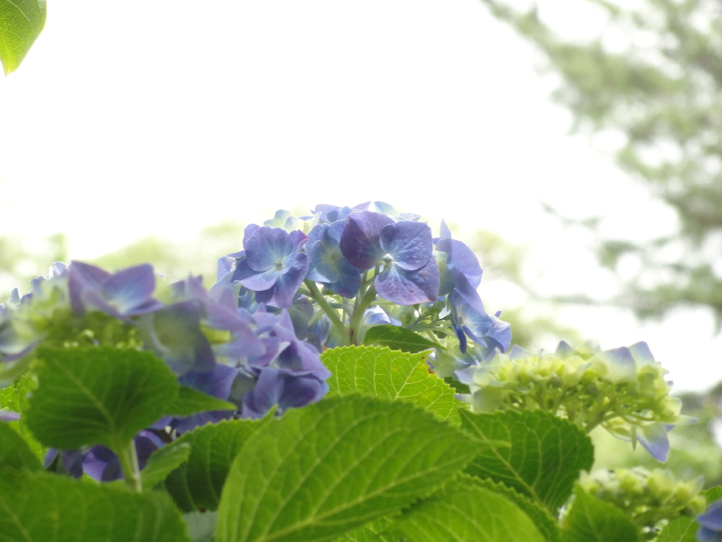 img0093.jpg