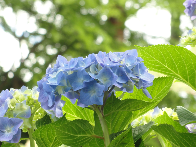 img0095.jpg