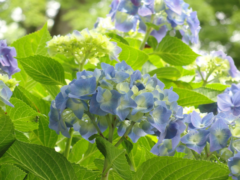 img0097.jpg
