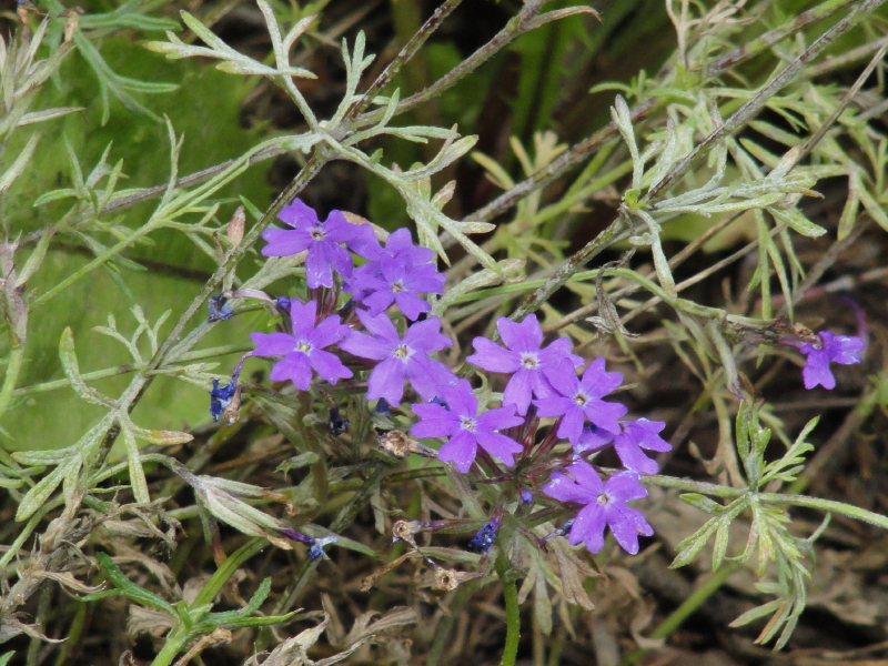 img0102.jpg