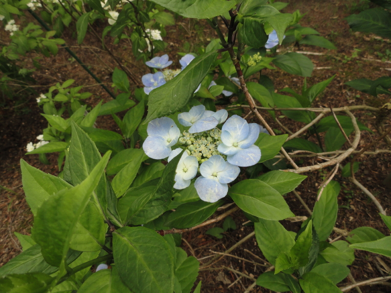 img0157.jpg