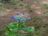 img0013.jpg