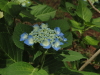 img0021.jpg