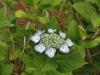 img0034.jpg