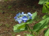 img0040.jpg