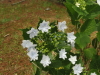 img0043.jpg