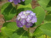 img0057.jpg