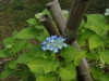 img0060.jpg