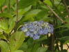 img0063.jpg