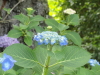 img0079.jpg