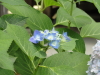 img0080.jpg