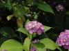 img0084.jpg