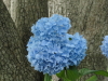 img0090.jpg