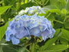 img0091.jpg