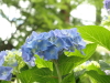 img0095.jpg
