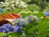 img0101.jpg