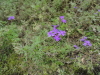 img0103.jpg