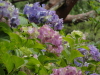 img0117.jpg