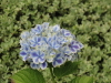 img0119.jpg