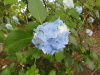 img0129.jpg